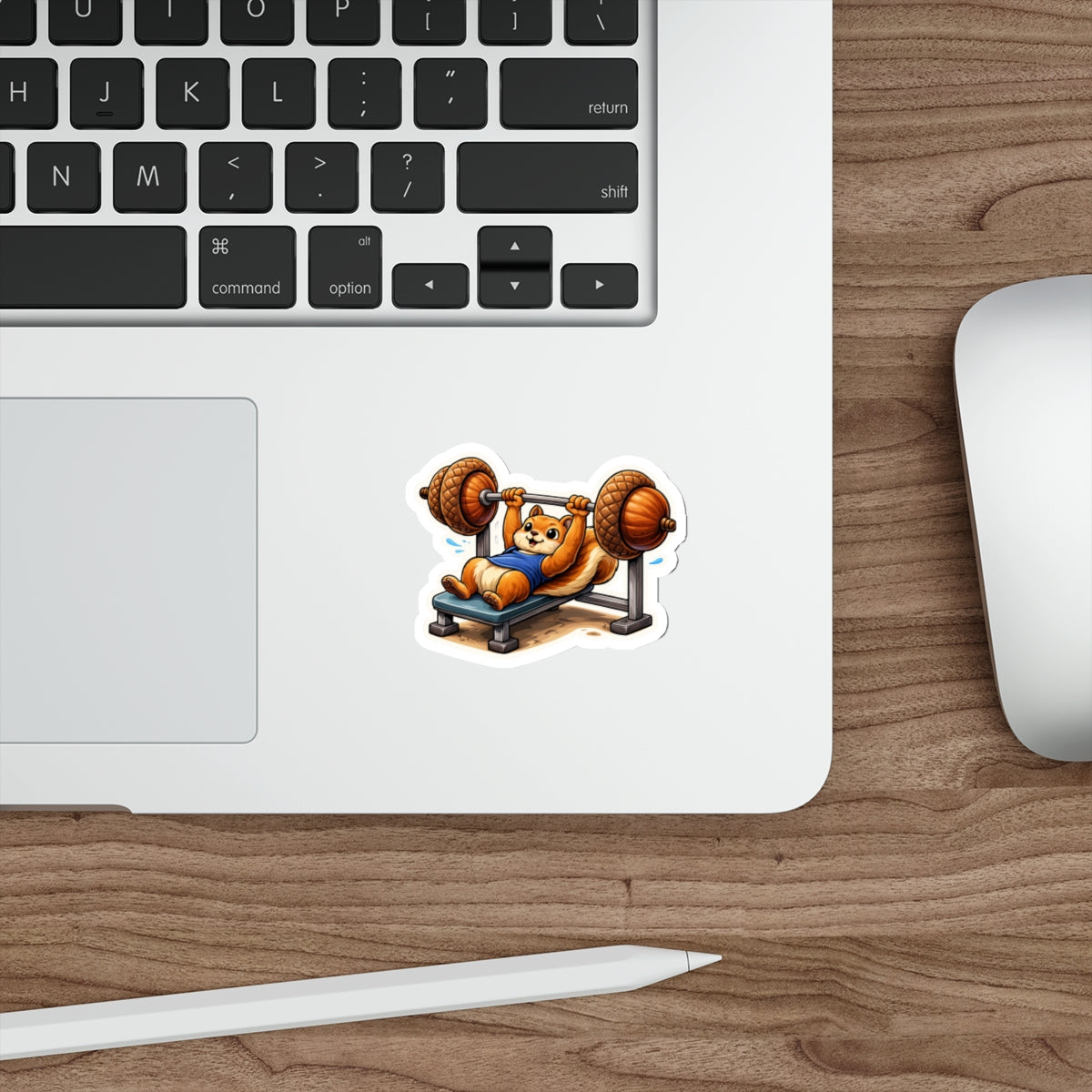 Squirrel Lifting Acorns | Funny Gym Sticker