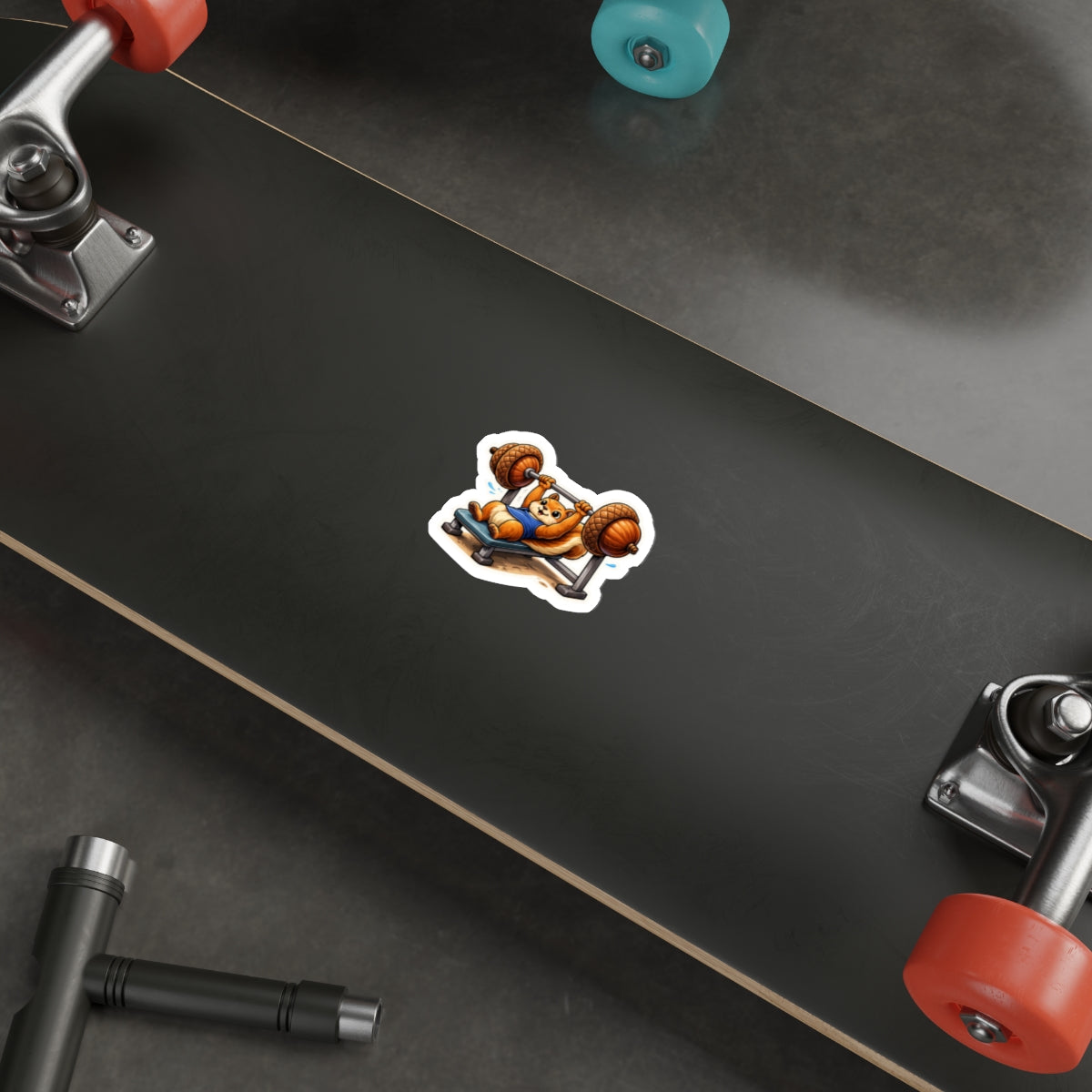 Squirrel Lifting Acorns | Funny Gym Sticker